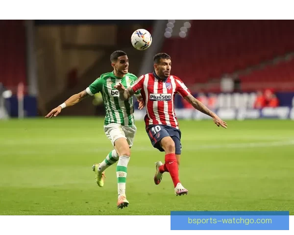 世界杯赛事竞猜盘口深度解析与胜负趋势全面预测